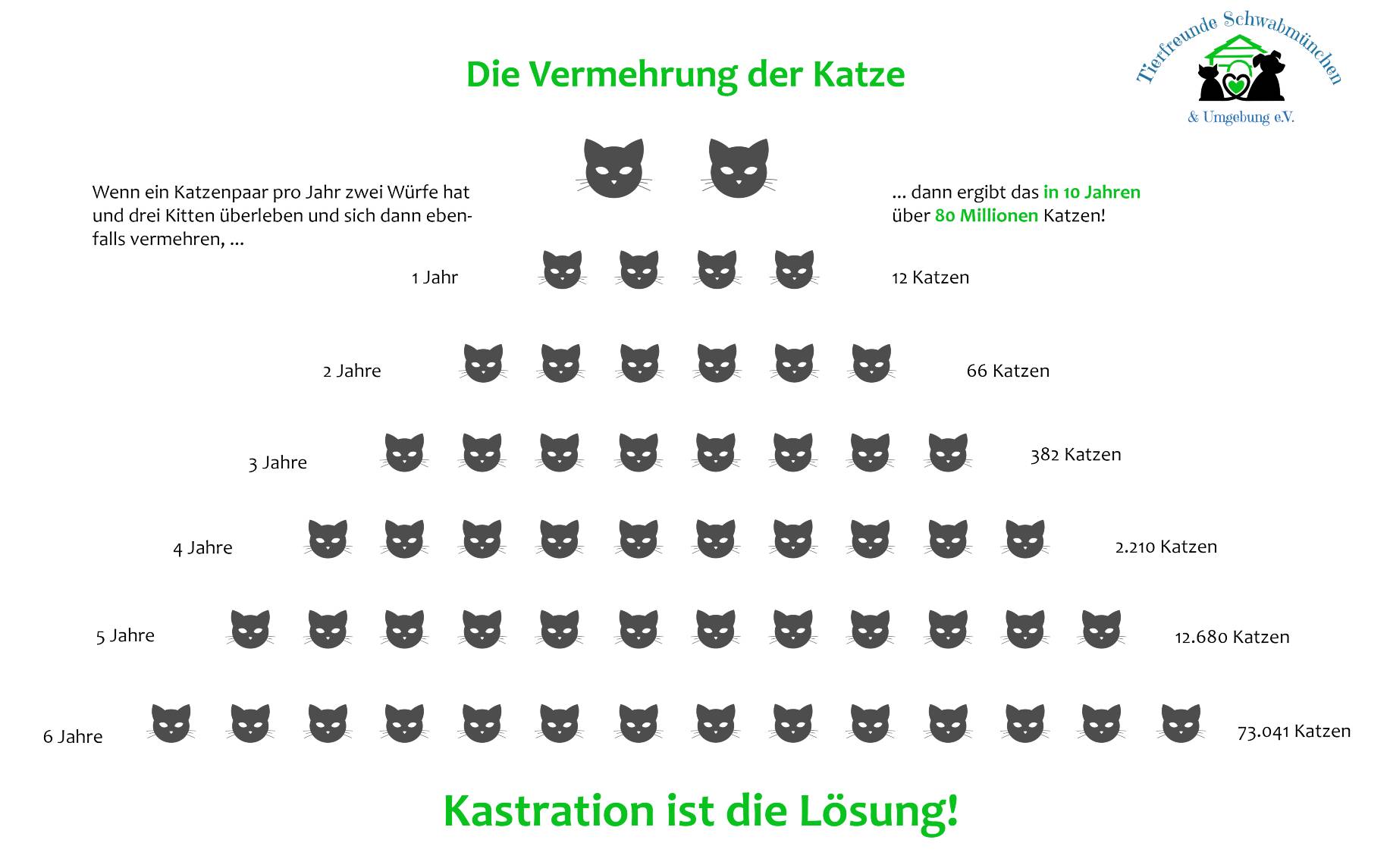 Tierfreunde Schwabmüchen Kastration Bei Katzen